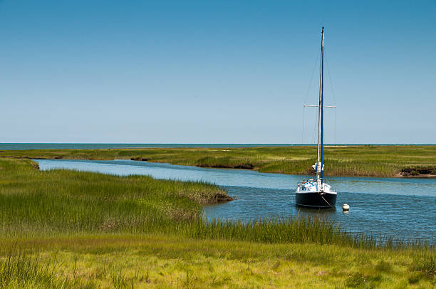 amarrado en el estero - cape cod new england sea marsh fotografías e imágenes de stock