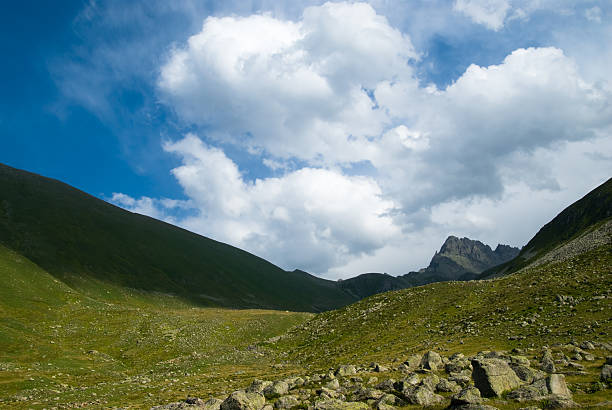 Nature background stock photo