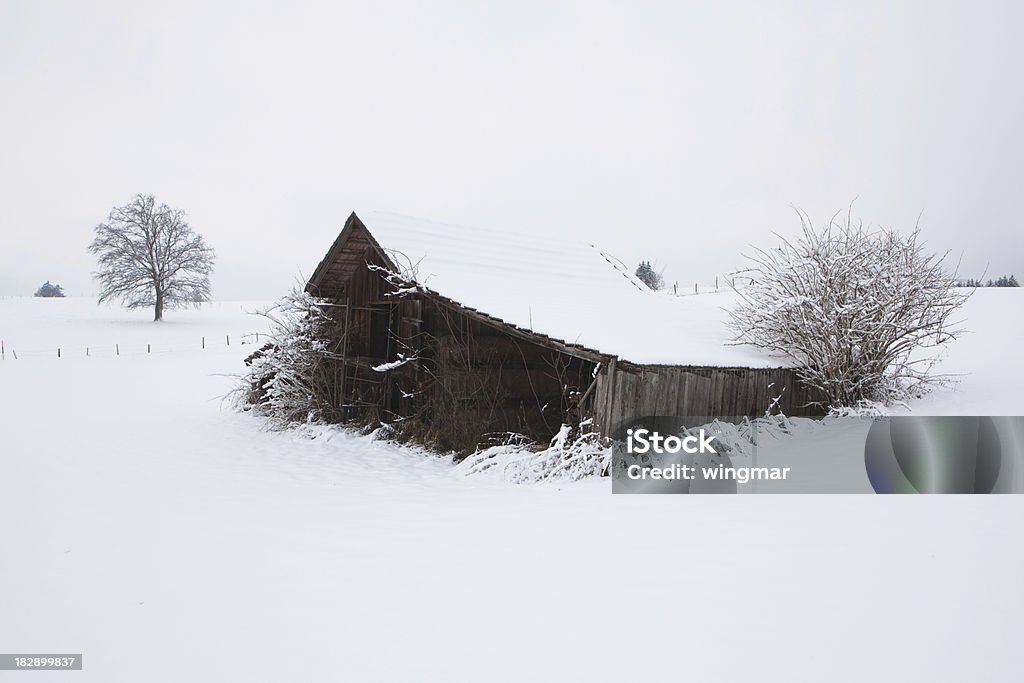 lone hut en la región de Baviera -germany allgäu - Foto de stock de Abandonado libre de derechos