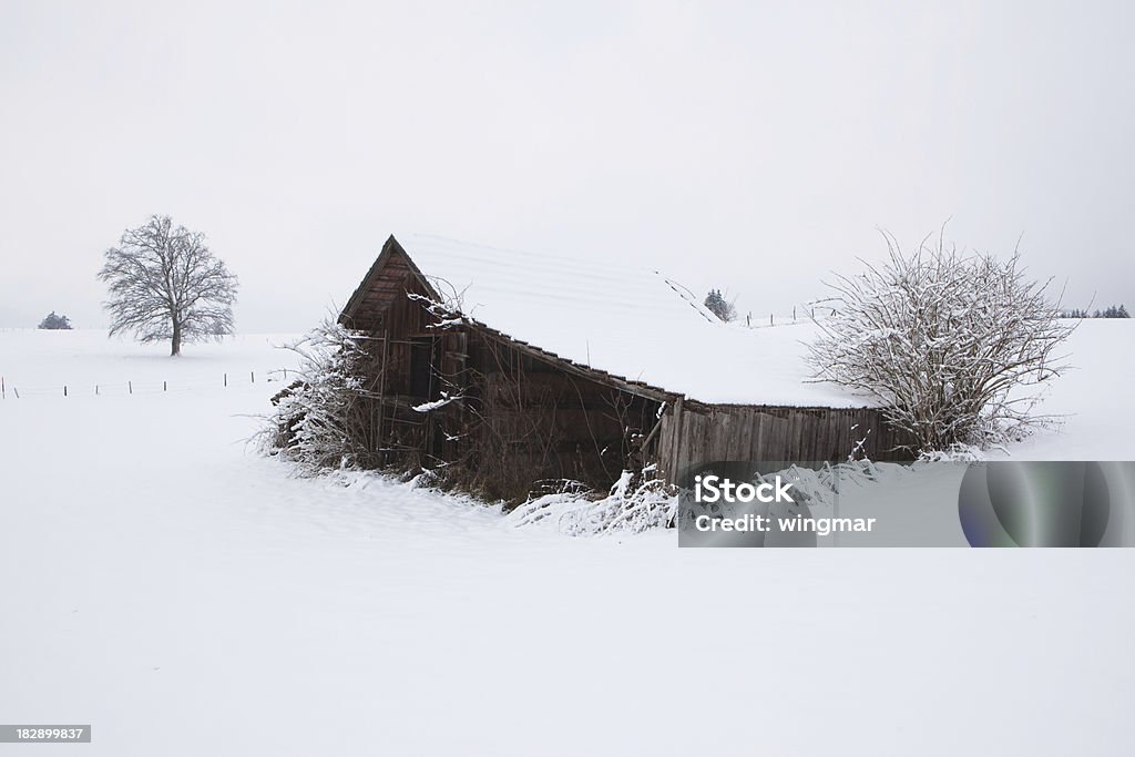 lone Capanna in bavarese allgäu-Germania - Foto stock royalty-free di Abbandonato