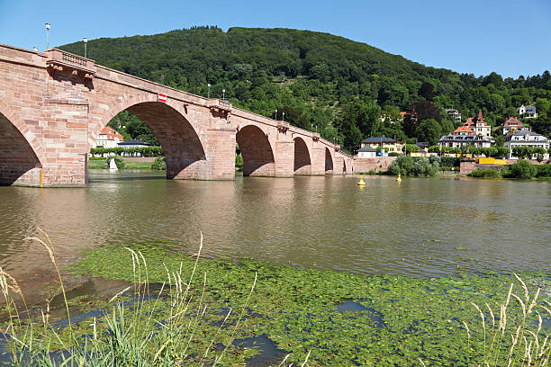 istock view of Heidelbergs Old Bridge and Neckar River 182900075