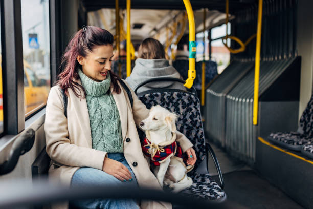istock A small white dog sits calmly on a bus seat next to its owner 1829003652