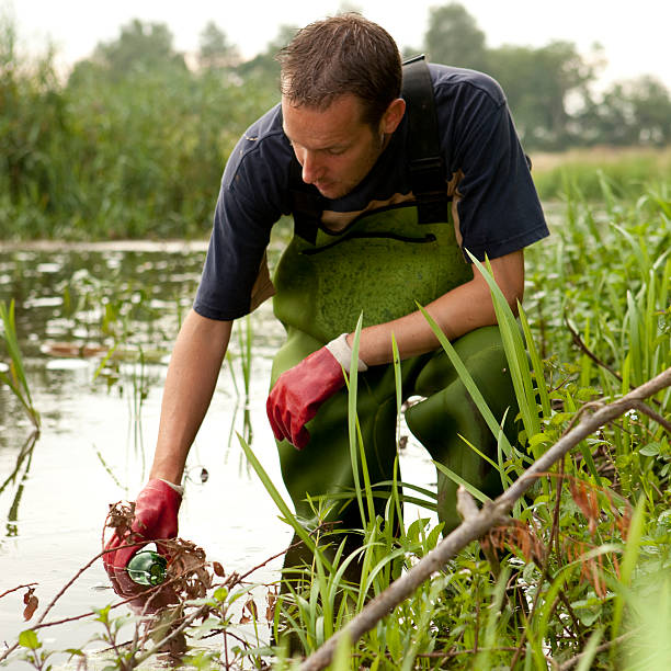 If you want more related images with environmental research click here.