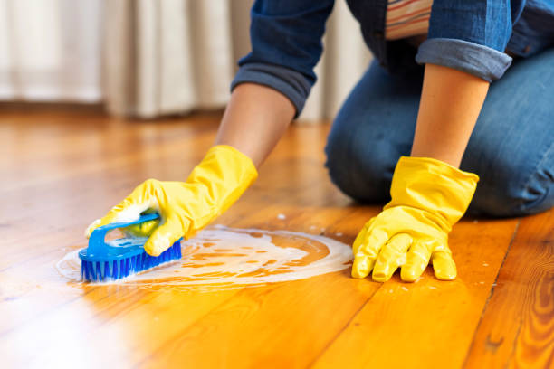 istock A young woman in protective gloves washes the floor with a brush and detergent 1829004708