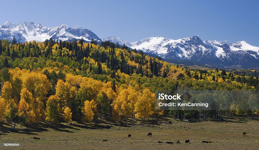 Montañas de Colorado, con vista panorámica de animales - Foto de stock de Aire libre libre de derechos