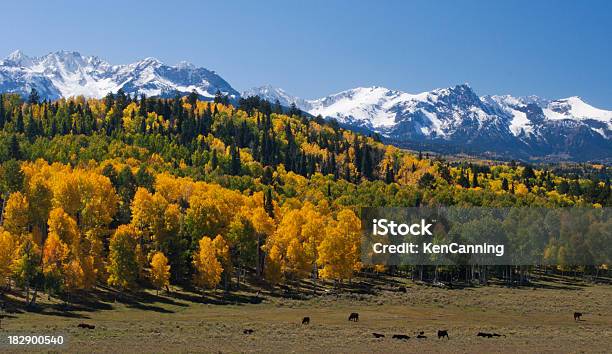 Montañas De Colorado Con Vista Panorámica De Animales Foto de stock y más banco de imágenes de Aire libre