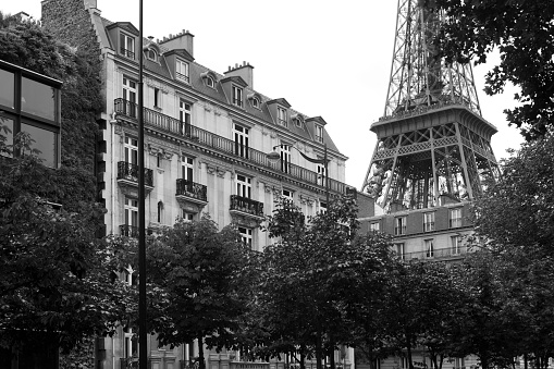 This is a black-and-white photograph of building in Paris, France. There are trees in the lower portion of the foreground, and directly behind them are what seems to be Parisian apartments. In the background, one can see the Eiffel Tower. 