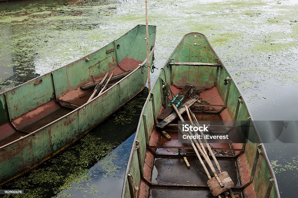 Barcos de pesca - Royalty-free Alga Foto de stock