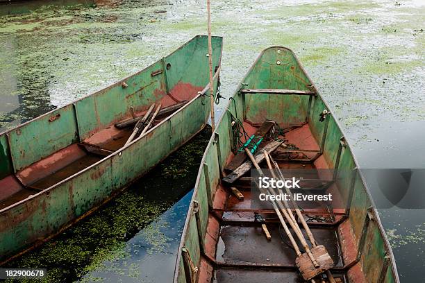 Barcos De Pesca - Fotografias de stock e mais imagens de Alga - Alga, Antigo, Antiguidade