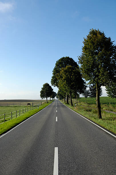 istock Straight country road / alley 182900706