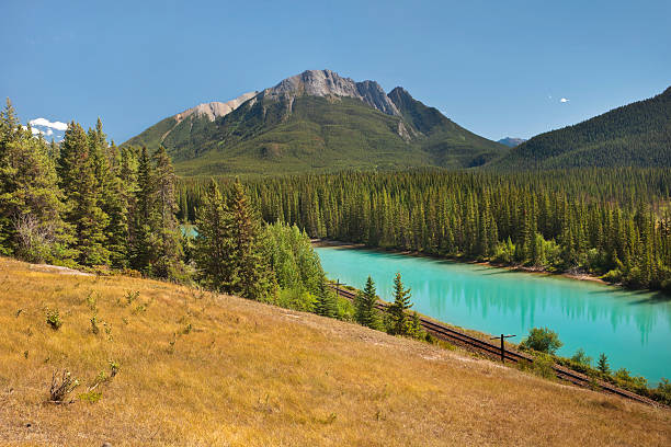 istock Mt. Rundle and the Bow River, Banff 182900726