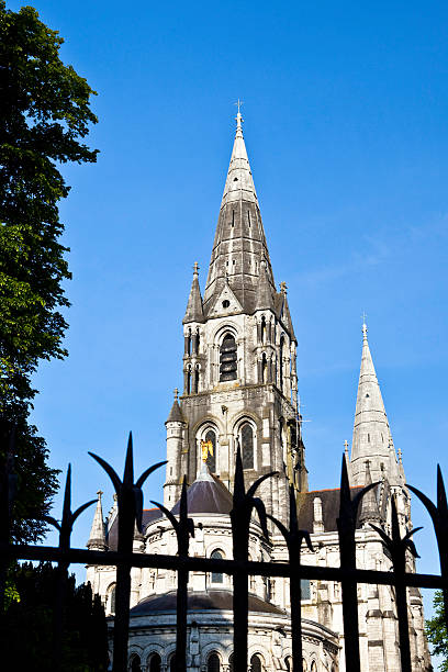 istock Saint Fin Barre's Cathedral Cork Ireland 182900790