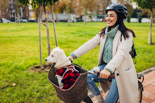 A cute little mixed-breed dog in a plaid jacket sits in a bicycle basket and rides around the city with its smiling female owner