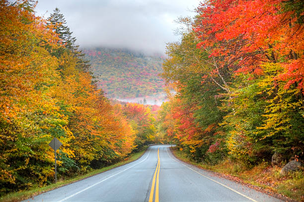 istock Kancamagus Highway in New Hampshire 182900906