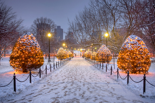 Holidays in Boston, Massachusetts. Photo of Chrismas lights in the Boston Public Garden after a dusting of snow. Festive creative lighting and sparkling Christmas trees are everywhere as the boston embraces the Holiday season. Boston is the capital and largest city of the Commonwealth of Massachusetts and New England