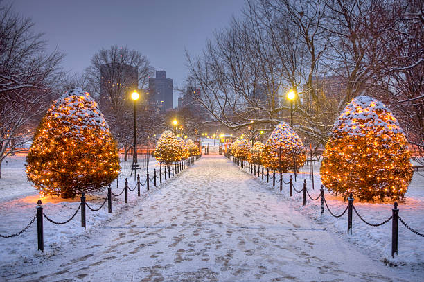 праздники в bostron - boston winter snow massachusetts стоковые фото и изображения