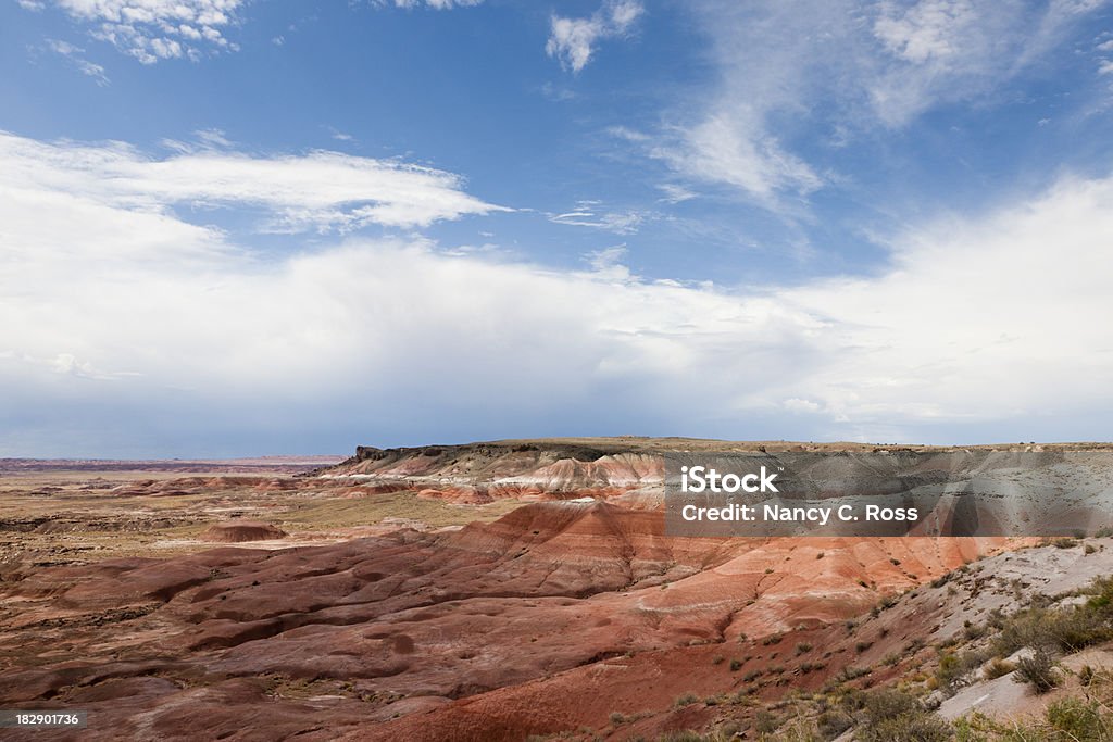 Kachina Sicht Petrified Forest NP - Lizenzfrei Anhöhe Stock-Foto