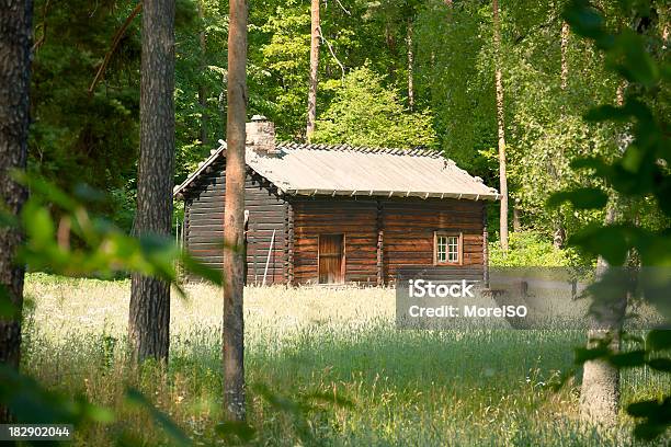 Photo libre de droit de Norvégien Maison Chalet En Bois Dans La Forêt banque d'images et plus d'images libres de droit de Antique - Antique, Arbre, Architecture