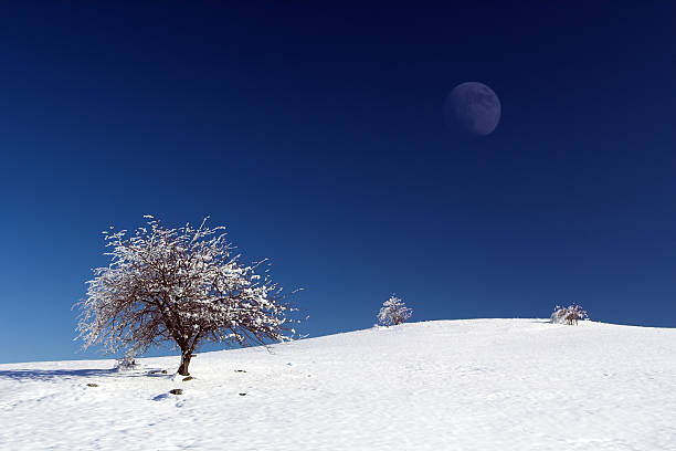 Winter paysage stock photo
