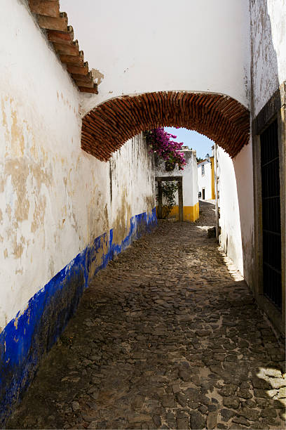 istock Street in Obidos 182902825
