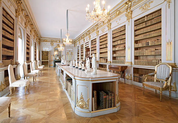 la bibliothèque - fauteuil baroque photos et images de collection