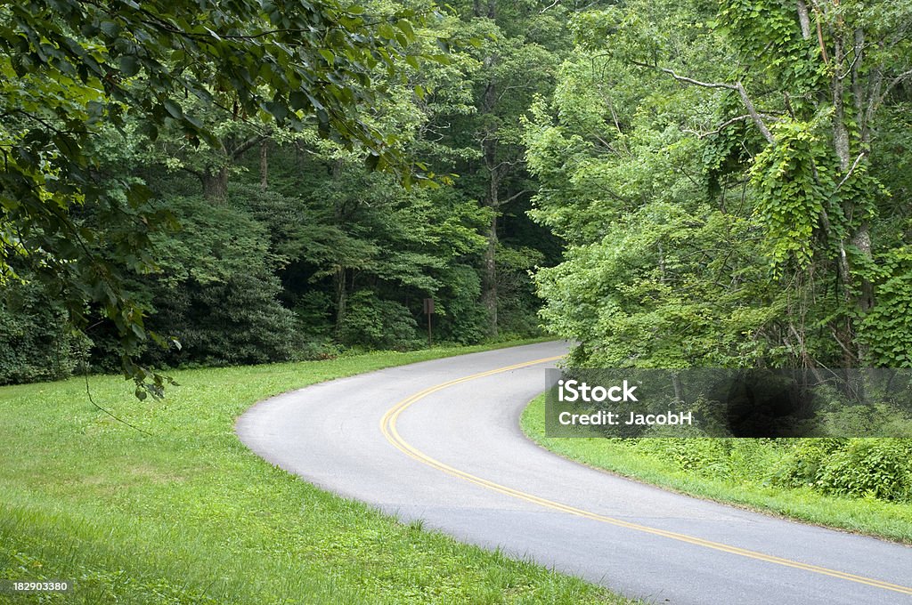 Curva Forest Road - Foto de stock de Appalachia royalty-free