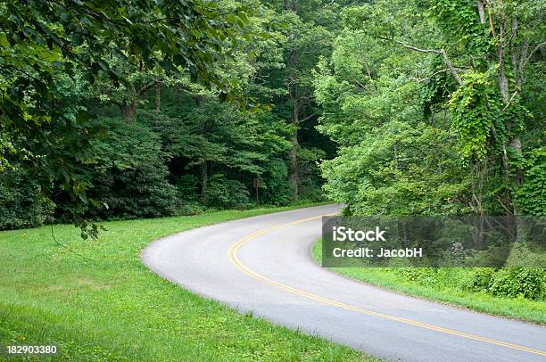 Foto de Curva Forest Road e mais fotos de stock de Appalachia - Appalachia, Blue Ridge Parkway, Carolina do Norte - Estado dos EUA