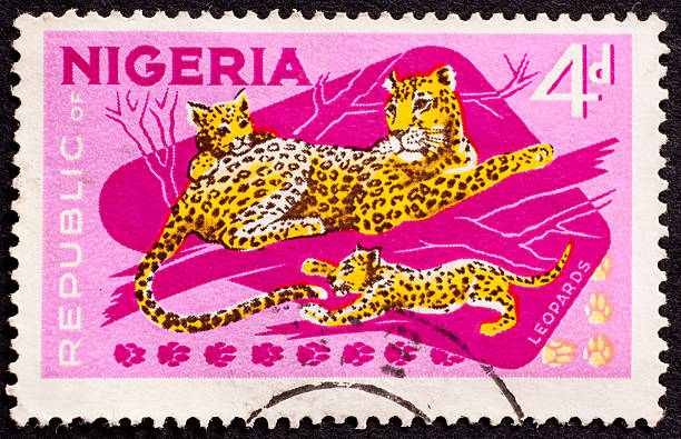 Nigerian postage stamp - leopards stock photo