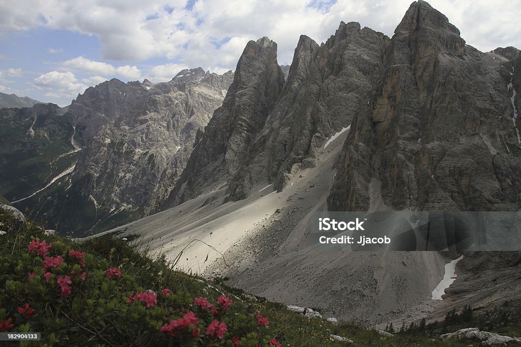 Cima Una - Einserkofel "is a mountain in the Dolomites, Italy. In the front are some red flowers. The flowers are called rhododendron hirsutum." Alto Adige - Italy Stock Photo