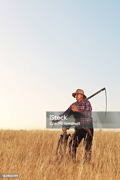 Foto de Camponês e mais fotos de stock de Zamora - Zamora, 50 Anos, 60 Anos