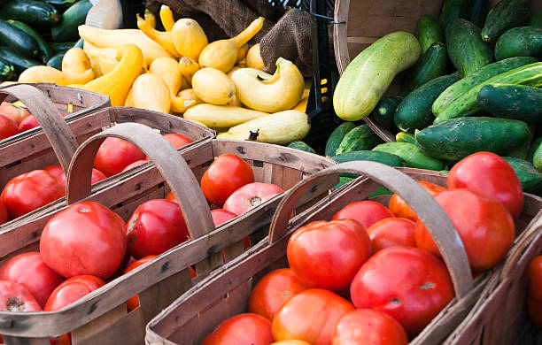 istock Colors of Summer 182904271