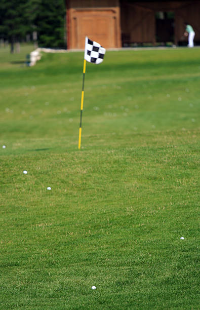 szkolenie pole golfowe i grupy kulek - golf green practicing sports training zdjęcia i obrazy z banku zdjęć