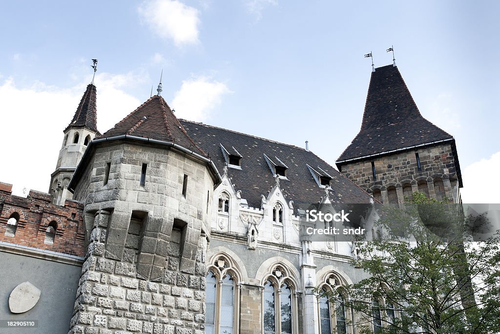 Castello di Vajdahunyad a Budapest - Foto stock royalty-free di Architettura