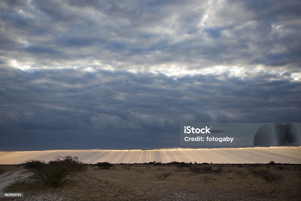 Paysage enchanteur - Photo de Afrique libre de droits