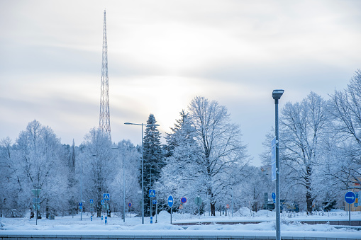 Winter landscape, the trees in the park are covered with frost in the sun in the haze. Radio tower against the sky.