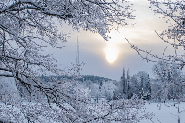冬の風景、公園の木々は霜で覆われ、湖は氷で覆われ、太陽は霞んでいます。空を背景にした電波塔。 - heat haze ストックフォトと画像
