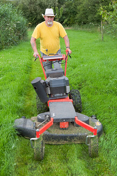 istock Contractor Cutting The Grass With A Heavy Mower 182905489