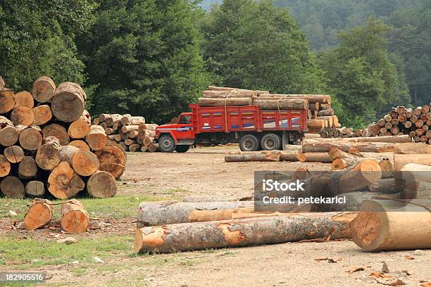 Photo libre de droit de Composée De Bûches banque d'images et plus d'images libres de droit de Amonceler - Amonceler, Anneau de croissance d'un arbre, Arbre