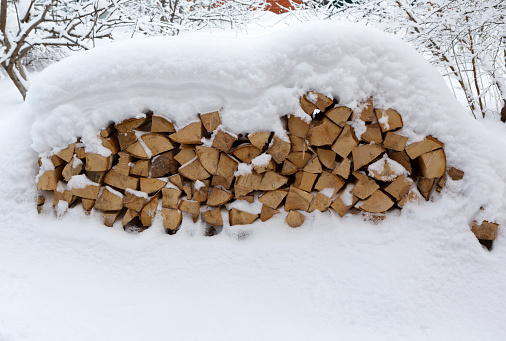 Snow-covered tree, firewood in  during snowfall. Stacked firewood.