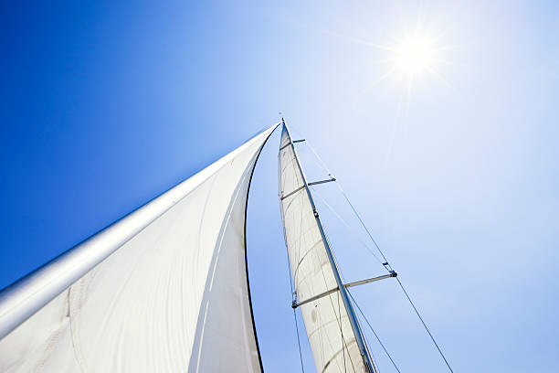 istock Mainsail and Genoa sail in the wind 182906042