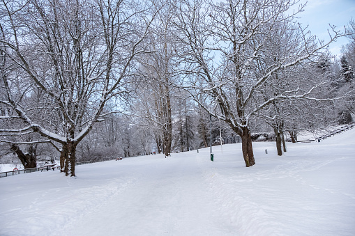 Karinemenpuisto Park in Lahti, Finland on a frosty day in winter