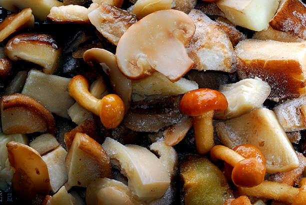 Close up of mushrooms with ice crystals visible.