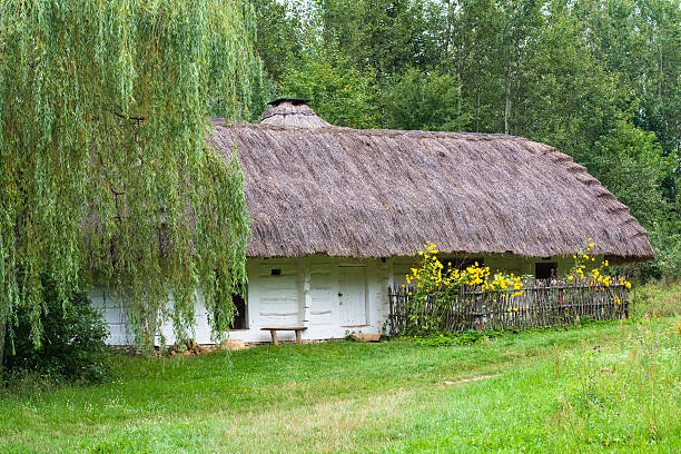 목가적인 늙음 시골길 농장 하우스, 마조비에츠키에 슈체친 - mazowieckie 뉴스 사진 이미지