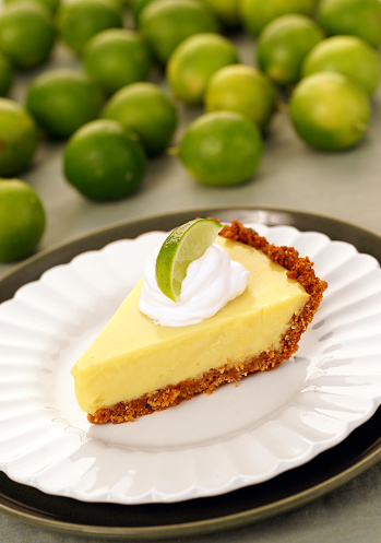 Cool, creamy slice of key lime pie.