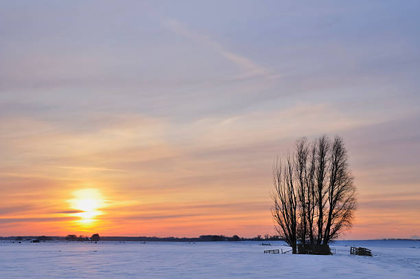 istock Snowy winter landscape 182906726