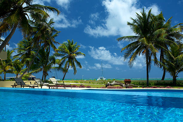 refreshing view from pool on ambergris caye