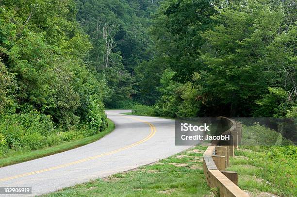 Blue Ridge Parkway - zdjęcia stockowe i więcej obrazów Appalachy - Appalachy, Asfalt, Bez ludzi