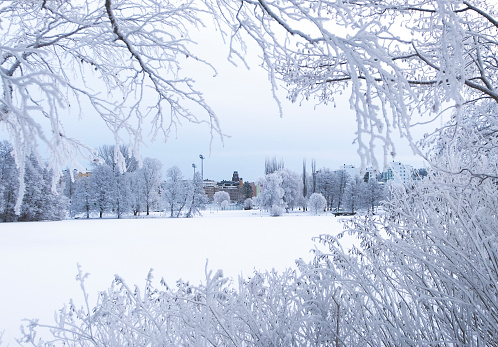 Winter Landscape in Harbin,China