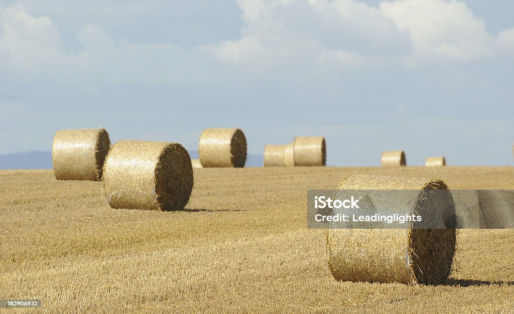 Rendendo fieno nel Gloucestershire - Foto stock royalty-free di Affari