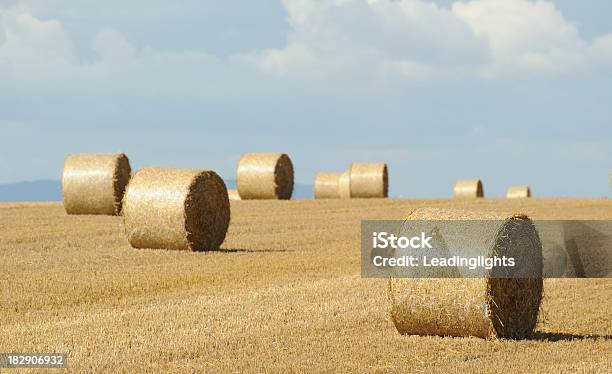 Rendendo Fieno Nel Gloucestershire - Fotografie stock e altre immagini di Affari - Affari, Agricoltura, Ambientazione esterna